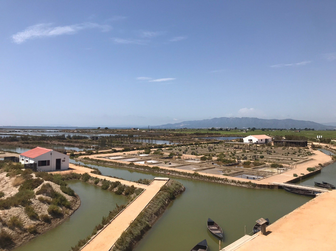 MonNatura Delta de l'Ebre景点图片