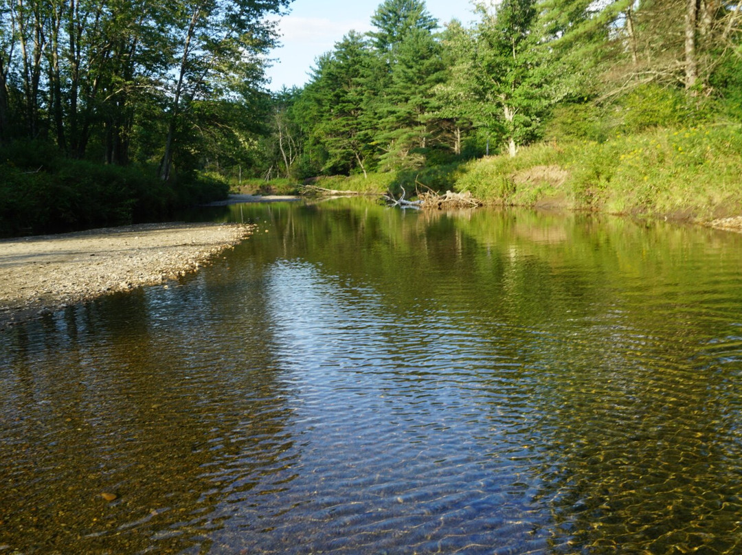 The Halfway House Motel主图