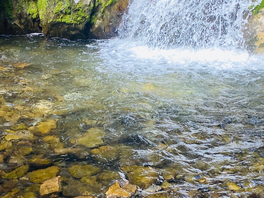 Troll Falls-卡那那斯基斯必去景点