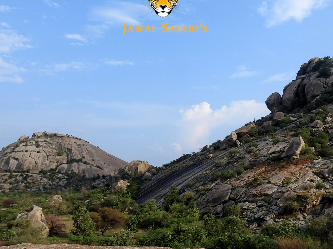 Jawai Safari's-Bera必去景点