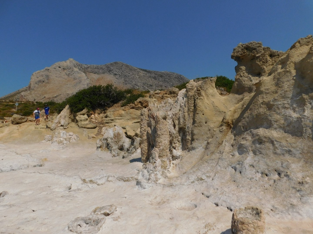 Petrified Forest景点图片