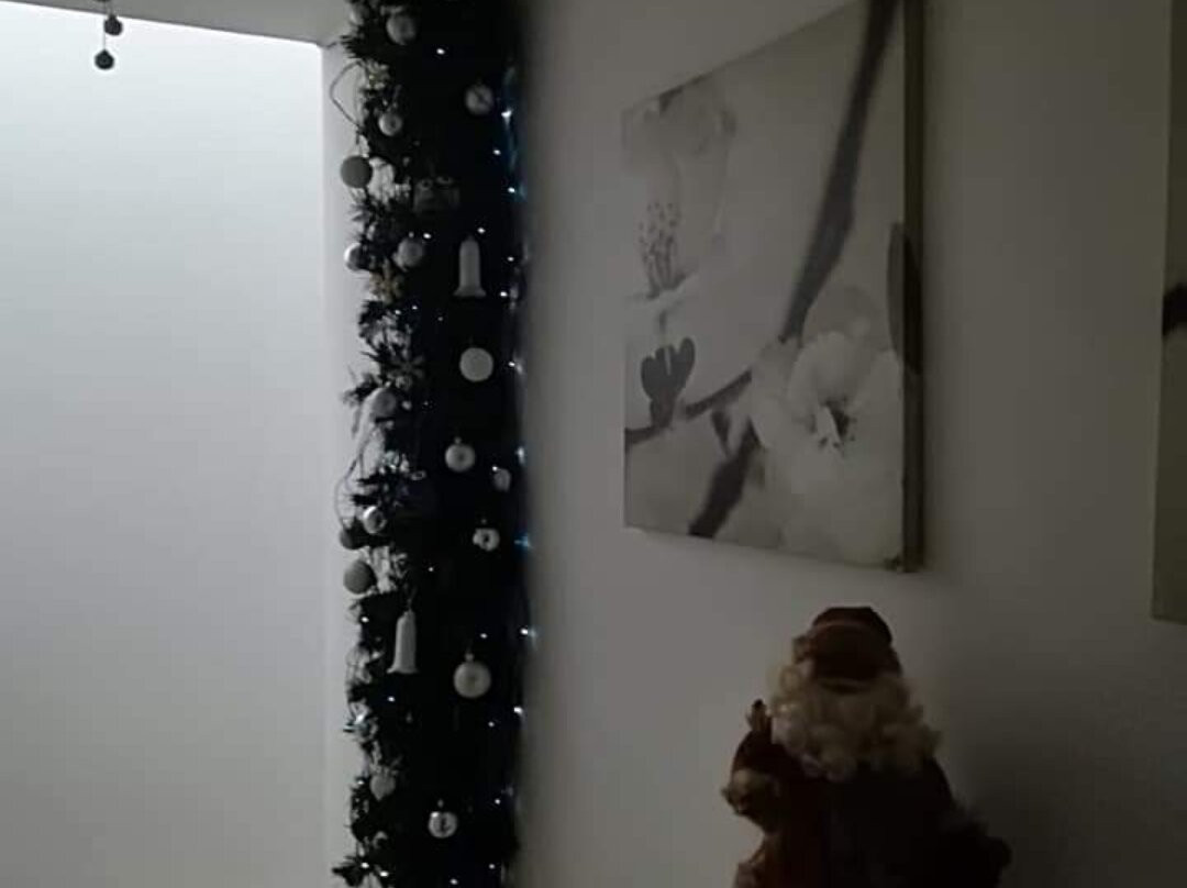 Il Covo delle Civette主图