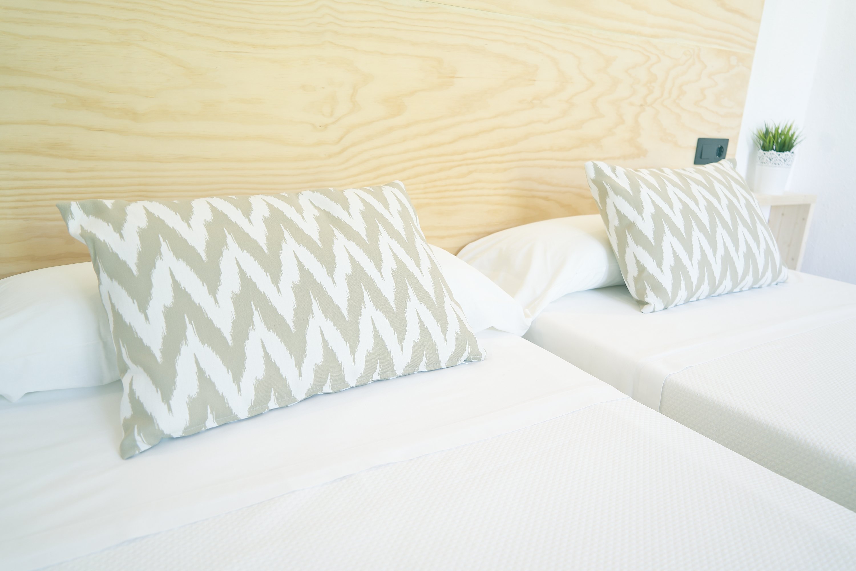 Forenna Hostel-官方