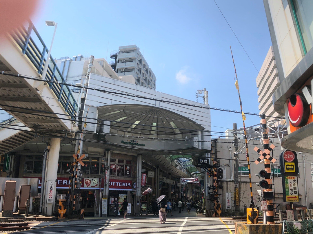 Happy Road Oyama Shotengai-板桥区必去景点