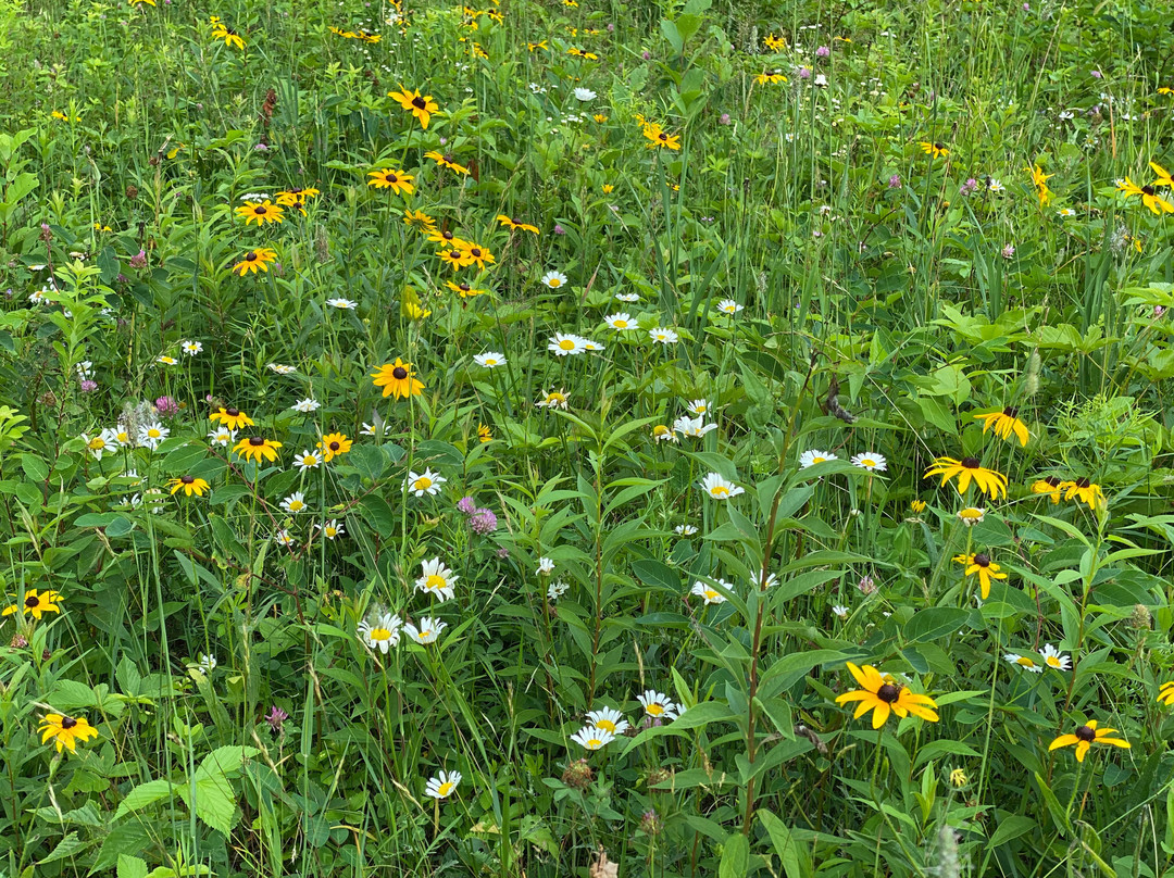 Heaven Hills Trails-普莱西德湖必去景点