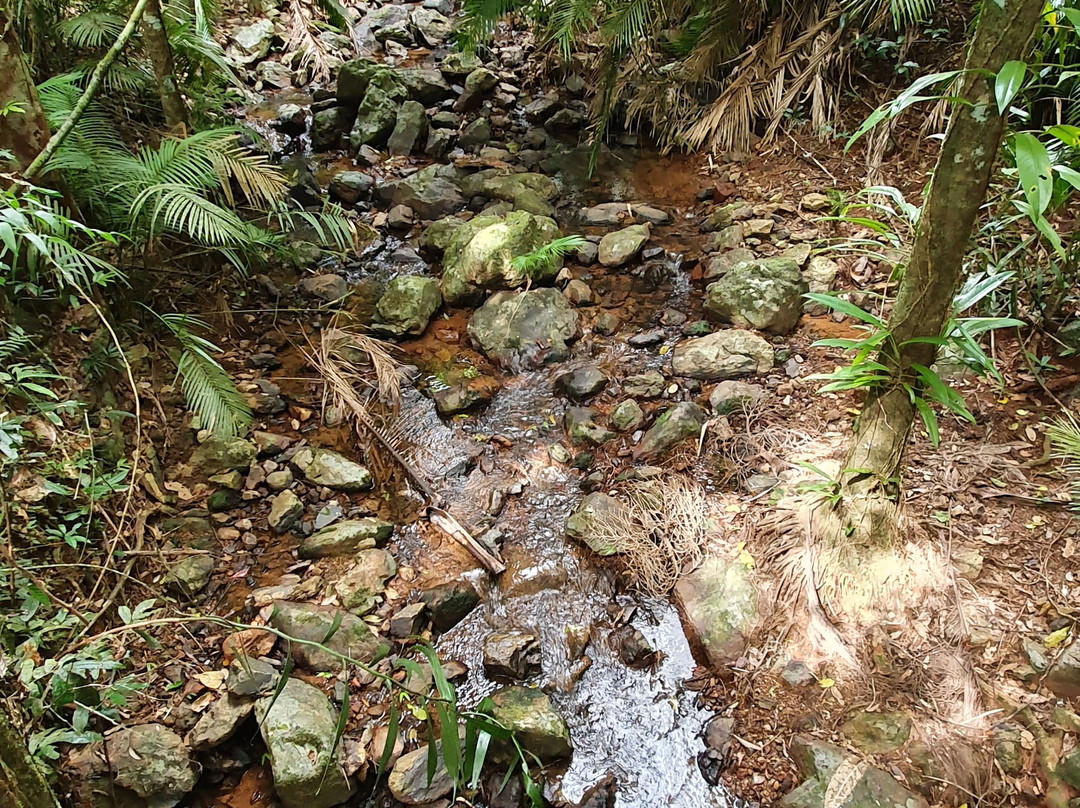 Jindalba Boardwalk-Cow Bay必去景点