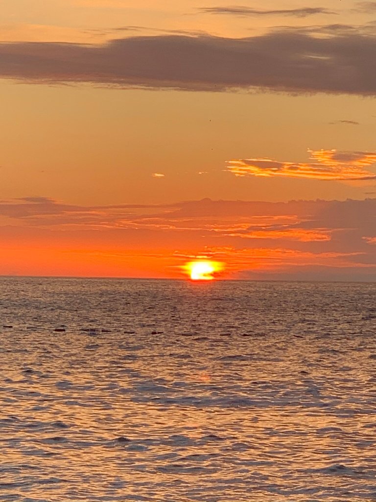 Holiday Apartments Utjeha-酒店景观