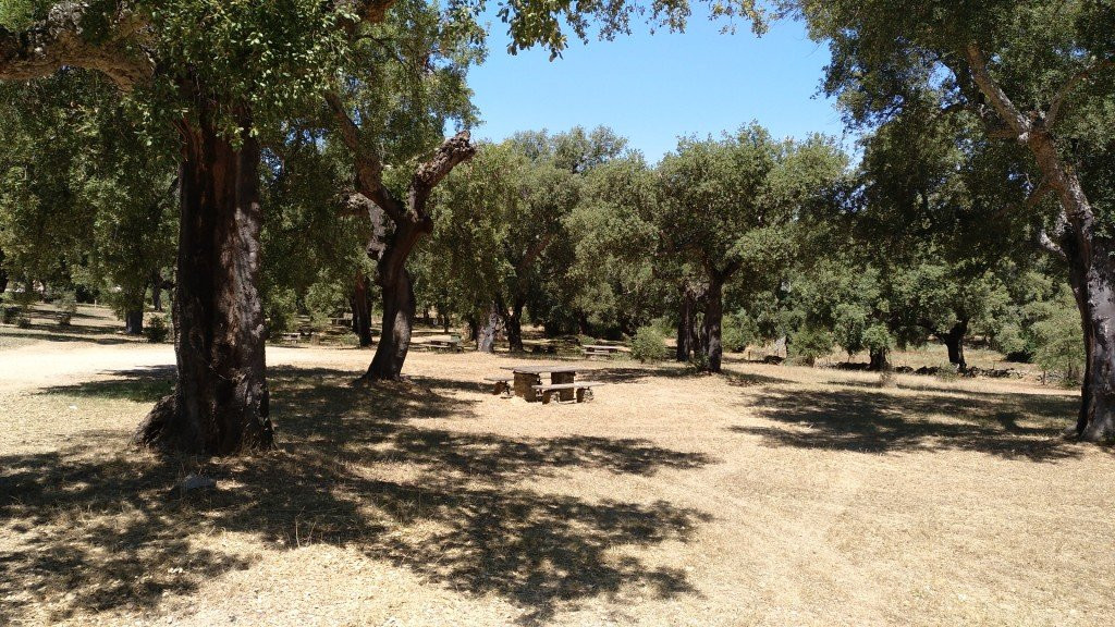 Área recreativa de la Dehesa Tres Encinas-Cala必去景点