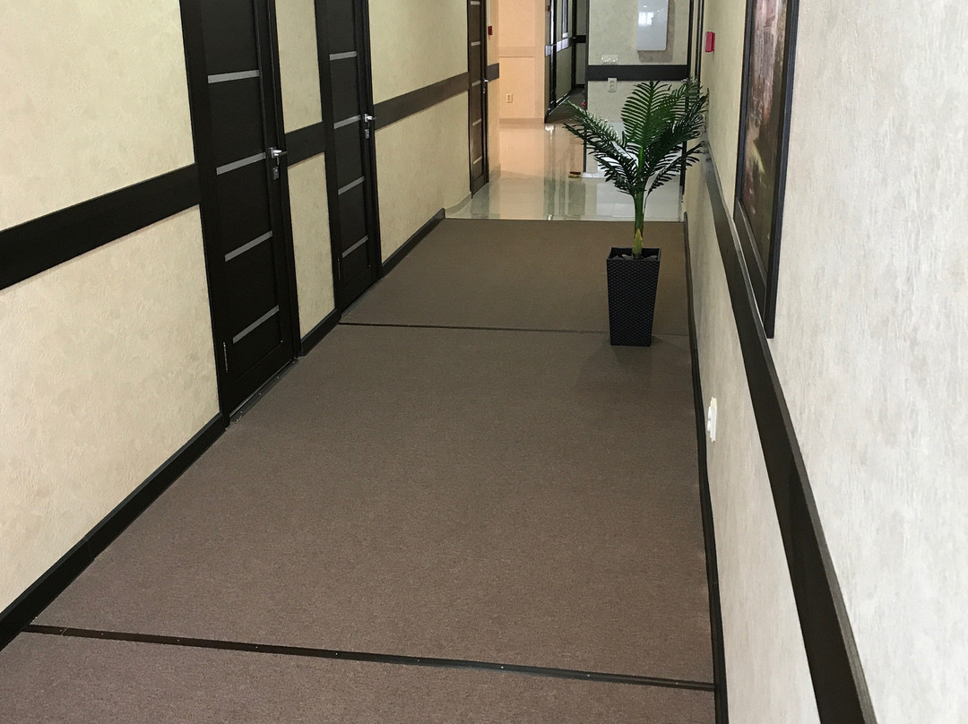 Vizit Hotel主图
