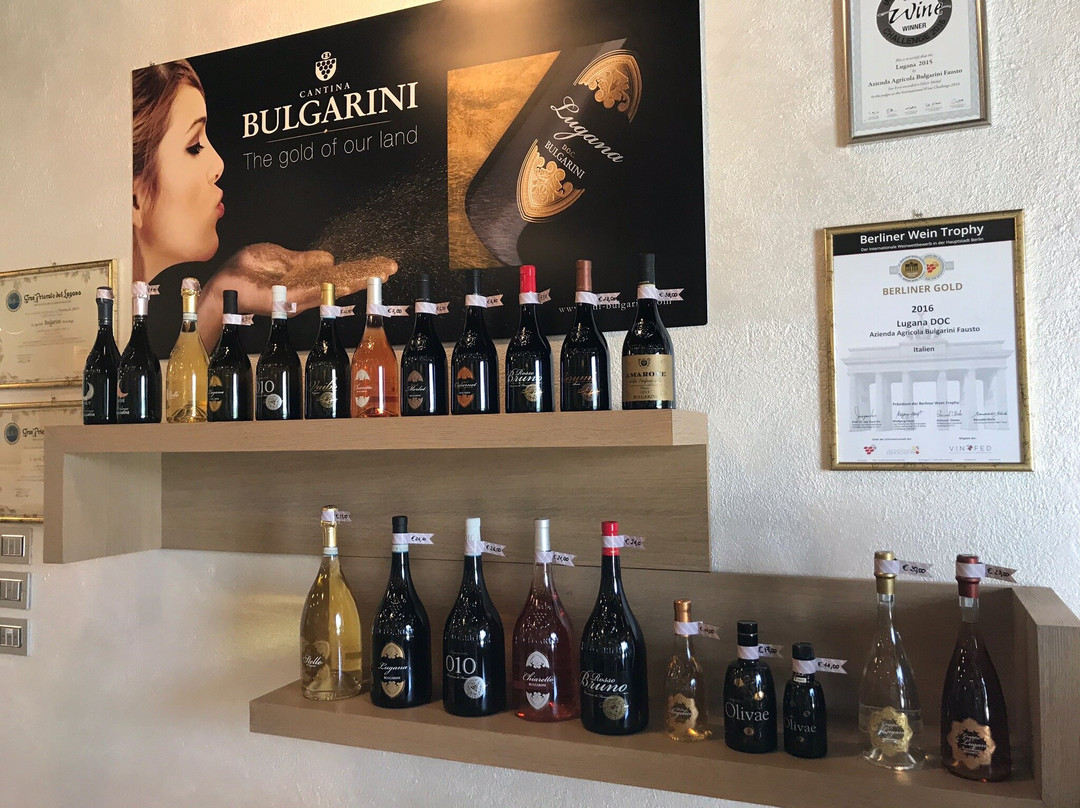 Azienda Agricola Bulgarini - Cantina Bulgarini-Pozzolengo必去景点