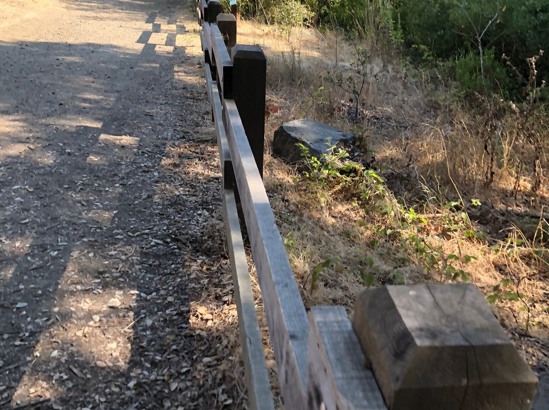 Laurelwood Park-圣马特奥必去景点