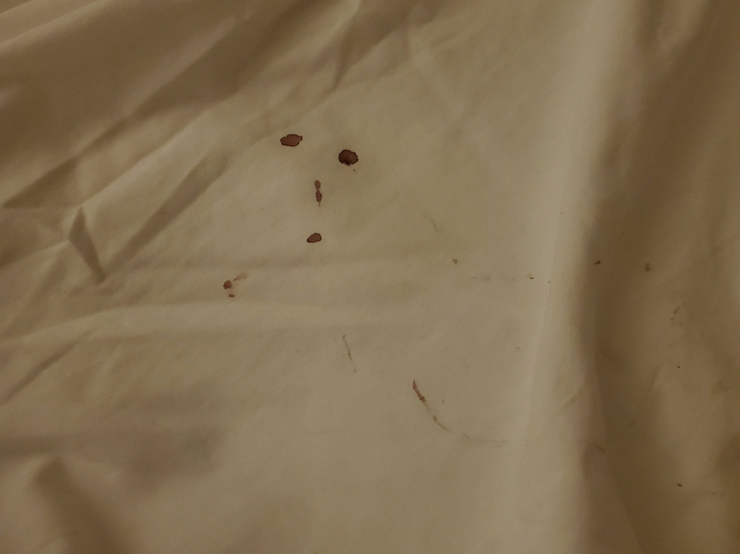 Western Star Inn & Suites主图