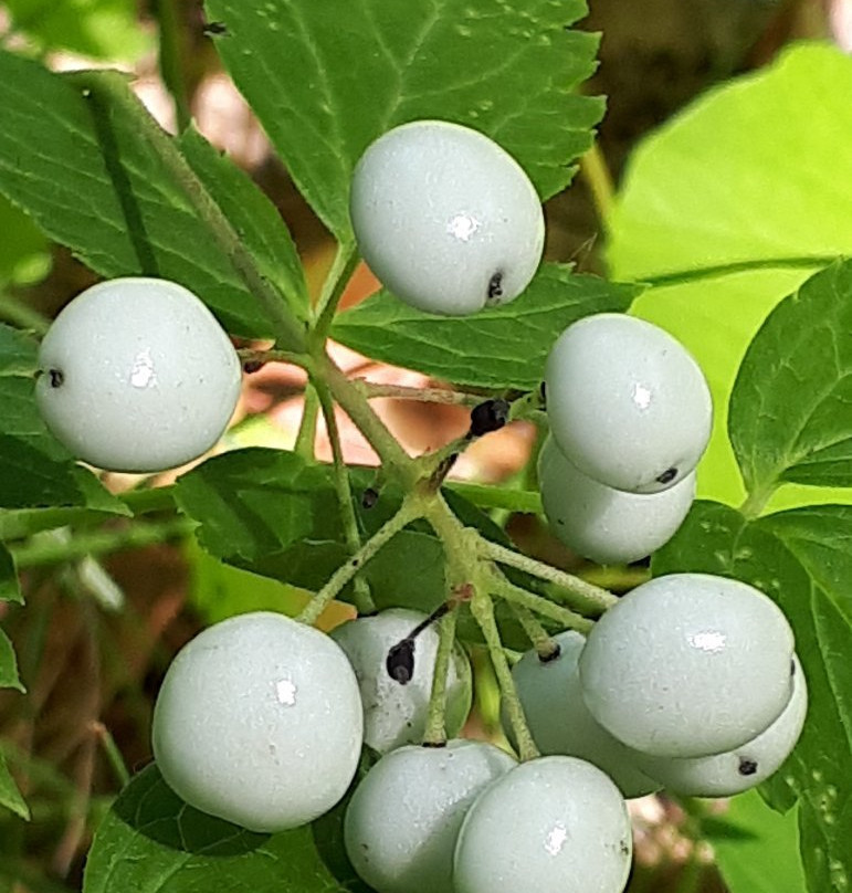 Beaudry Provincial Park-Headingley必去景点