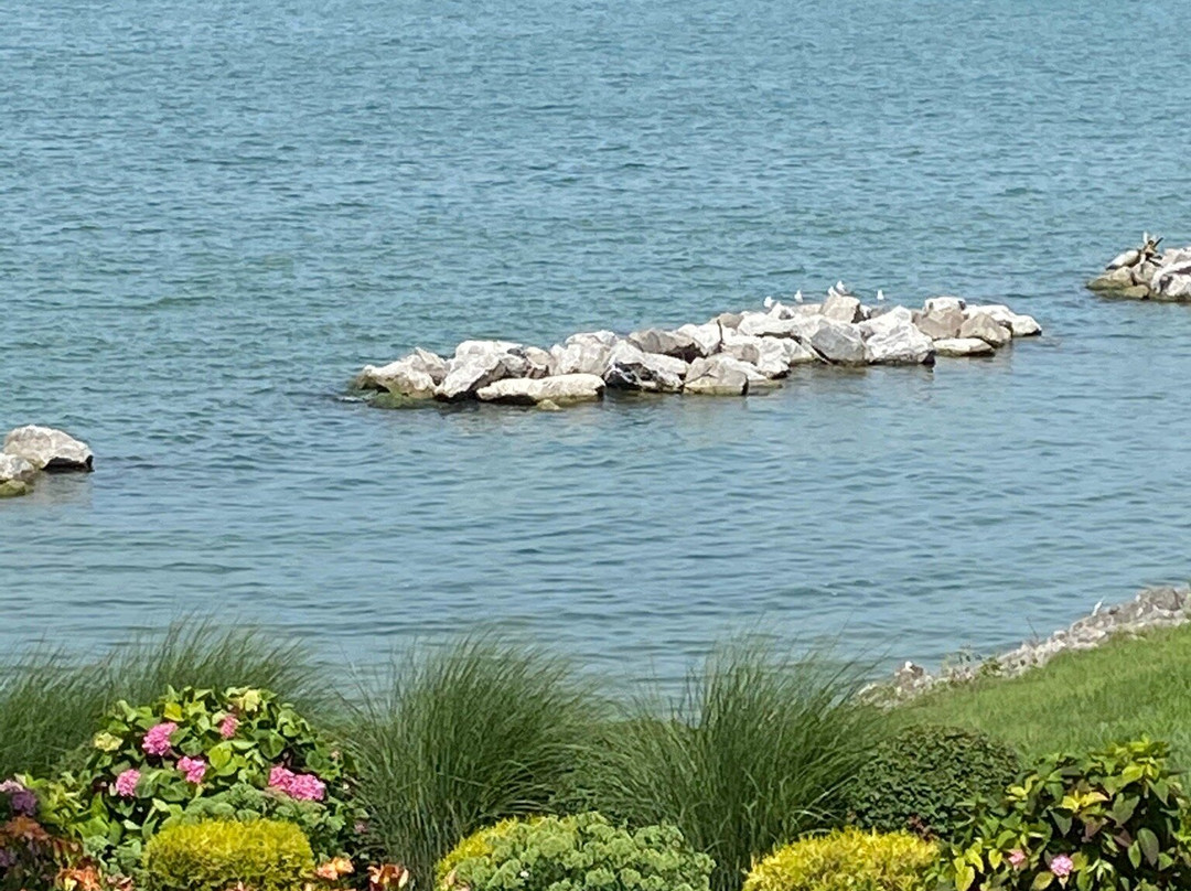 The Lakehouse Inn Winery景点图片