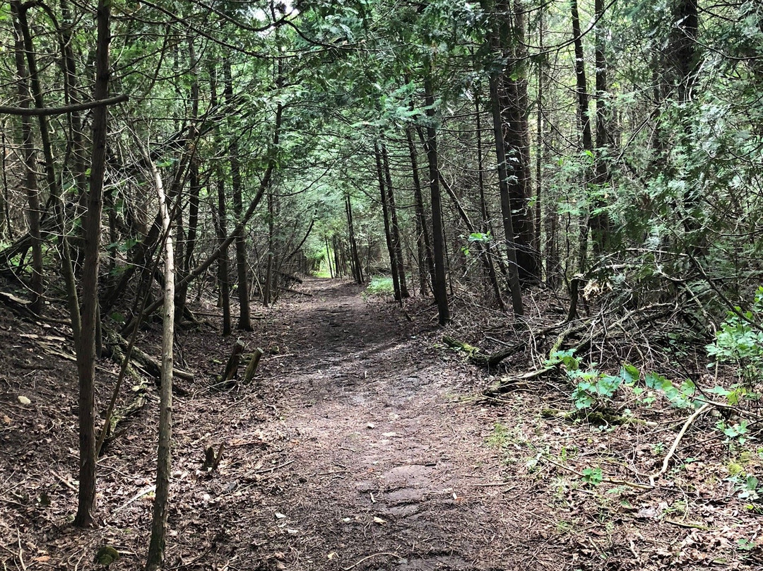 Feversham Gorge Conservation Area景点图片