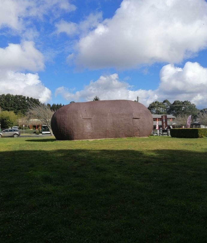 The Big Potato-Robertson必去景点