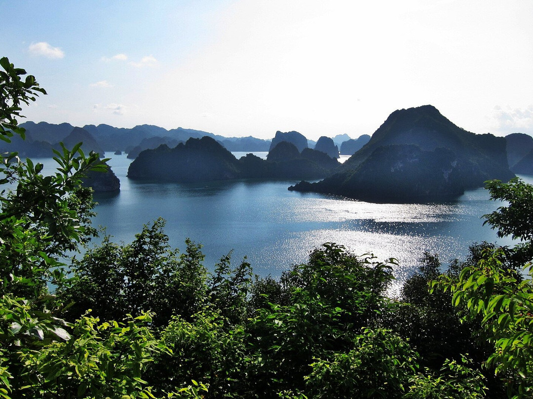 Orchid Cruises景点图片