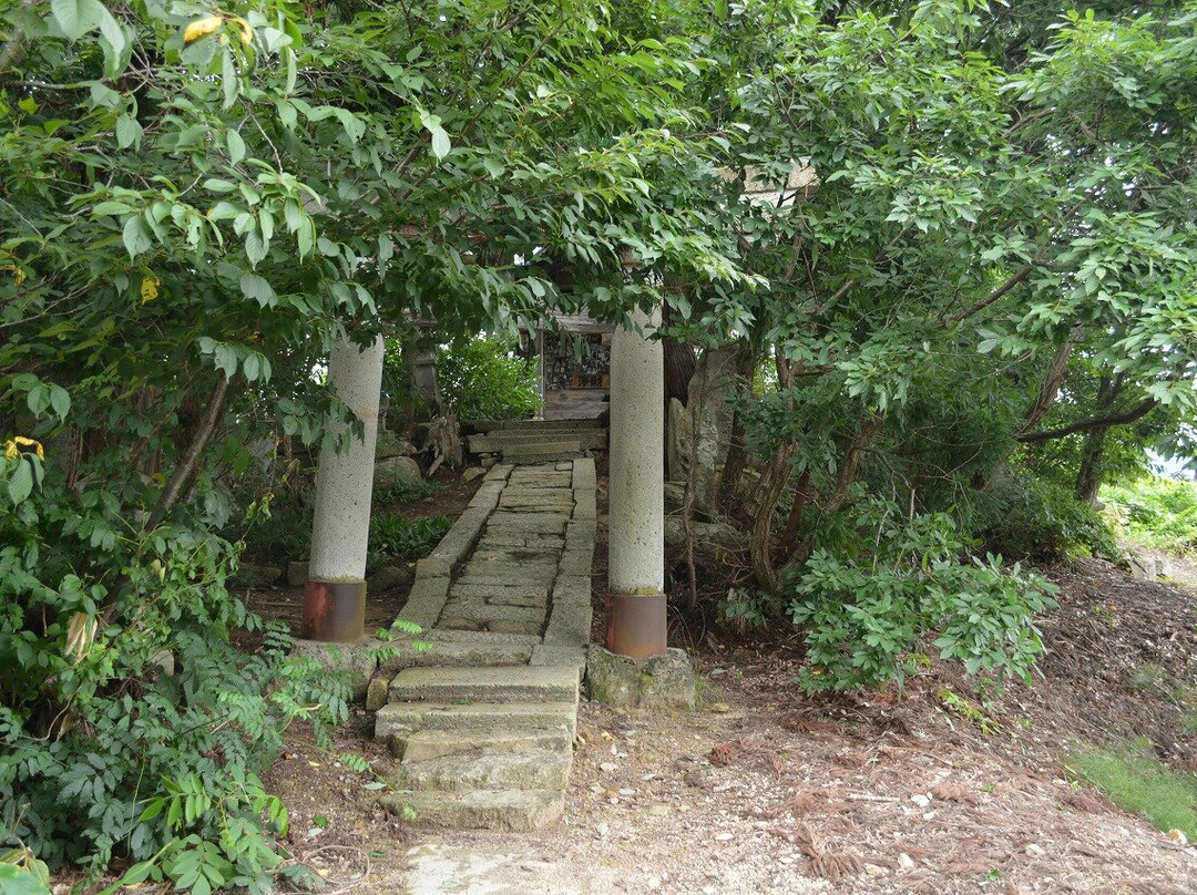 Cat's Shrine景点图片
