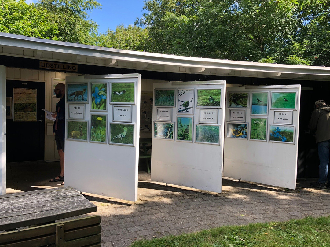 Sonderho Gl. Fuglekoje-法诺必去景点