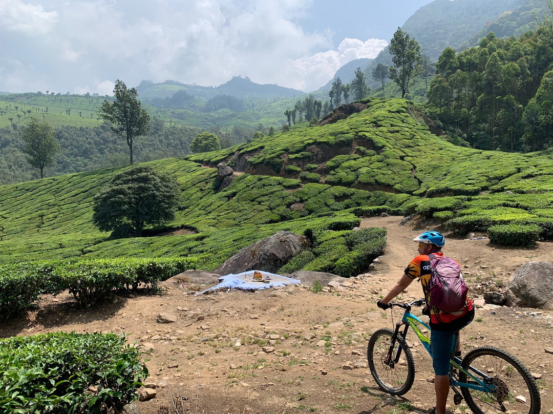 Mountain Bike Kerala景点图片