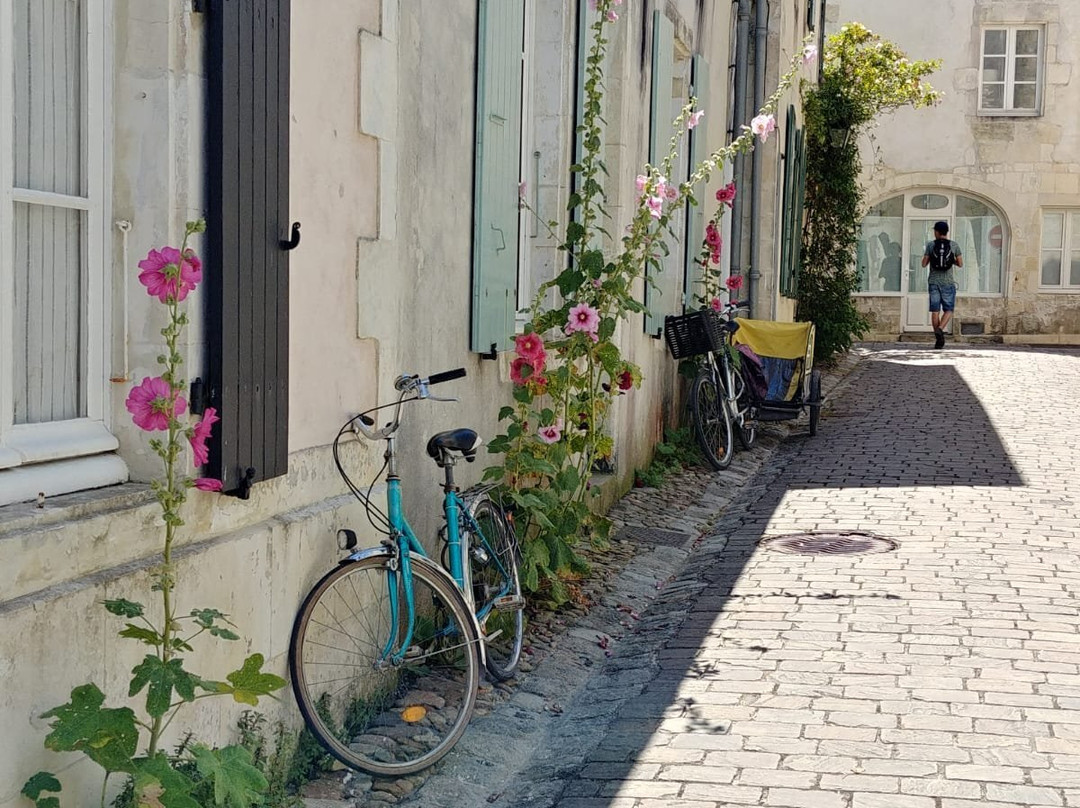 Camping l'ile Blanche主图