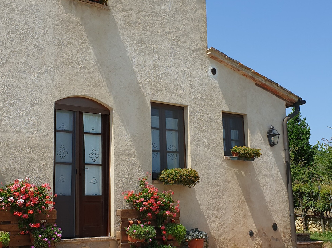 Podere Sant'Elena主图