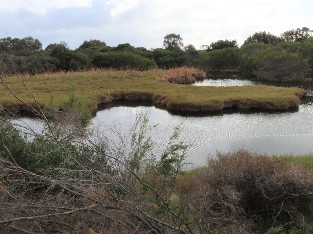 Big Swamp Walk-班伯利必去景点