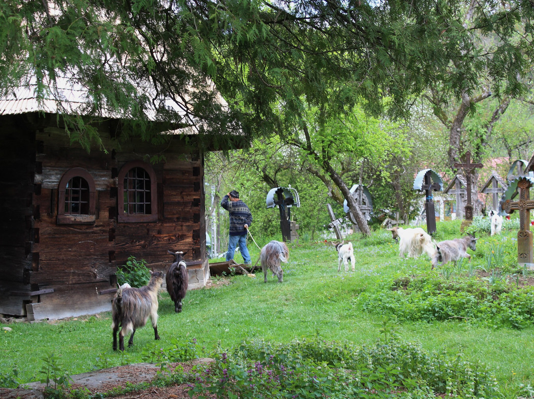The Wooden Church Of Breb景点图片