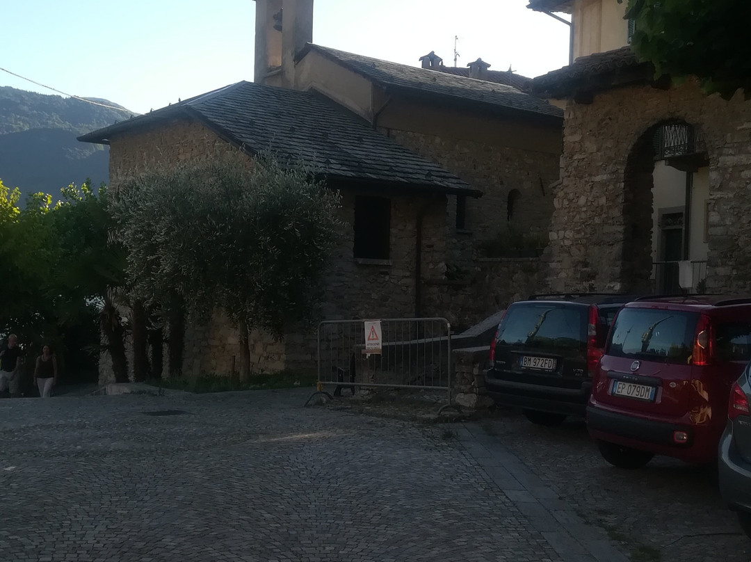 Le Ortensie Due主图