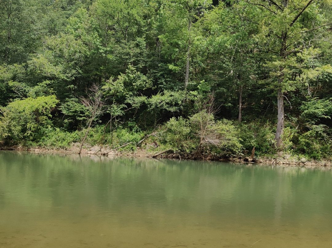 Caddo River Camping and Canoe Rental景点图片
