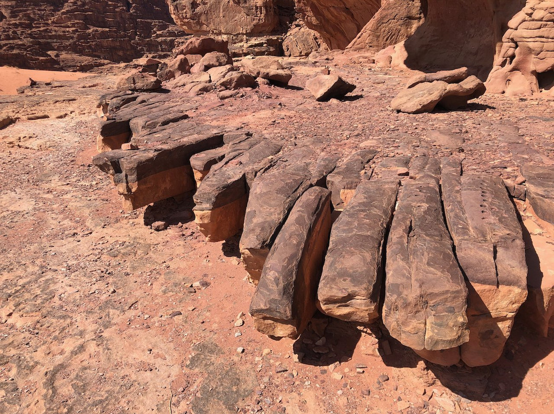 Wadi Rum Nomads景点图片