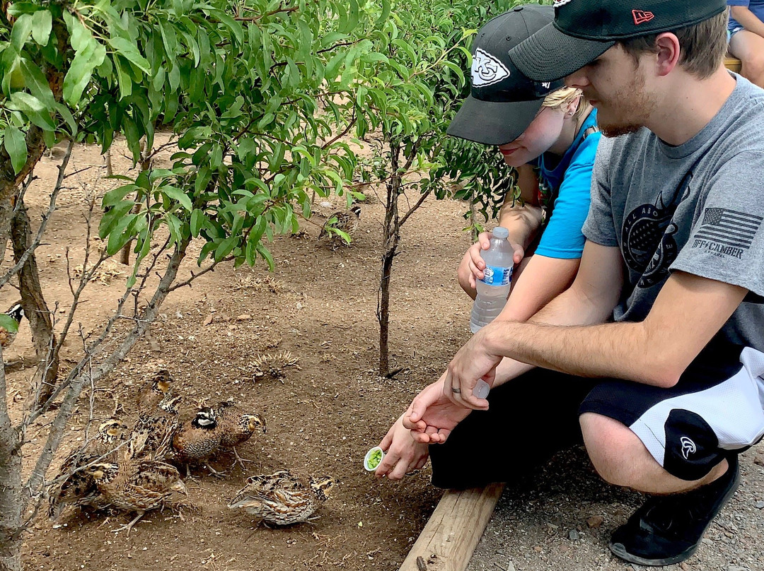 Medicine Park Aquarium and Natural Sciences Center-劳顿必去景点