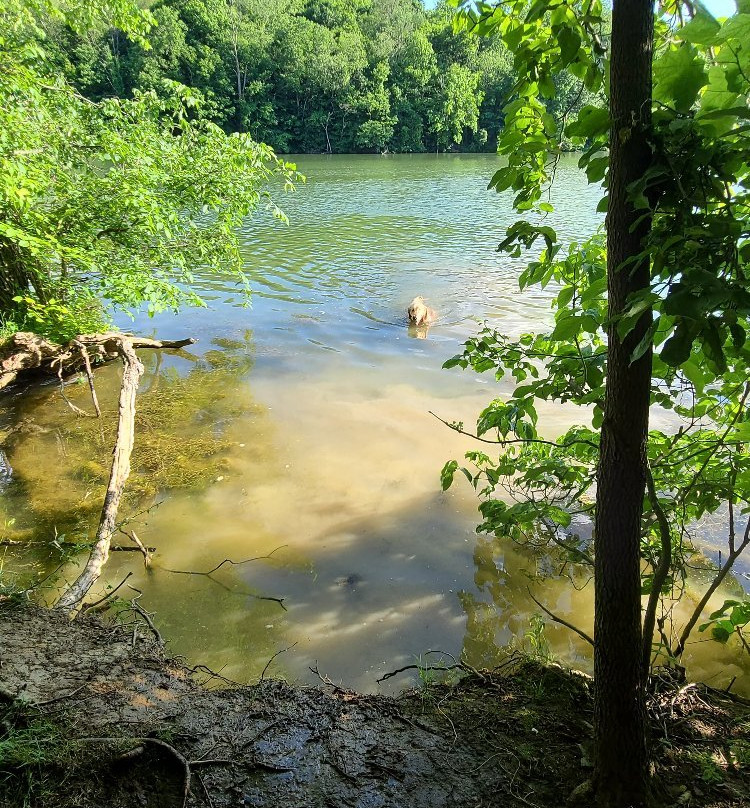 Peters Lake Park-Canonsburg必去景点