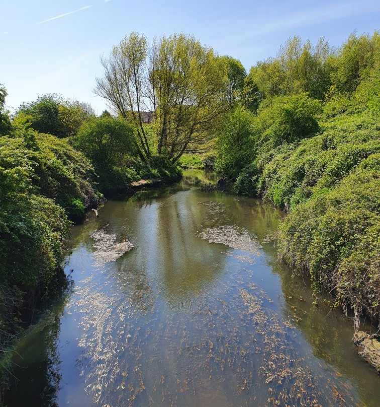 Lime Tree Woods-诺斯利必去景点