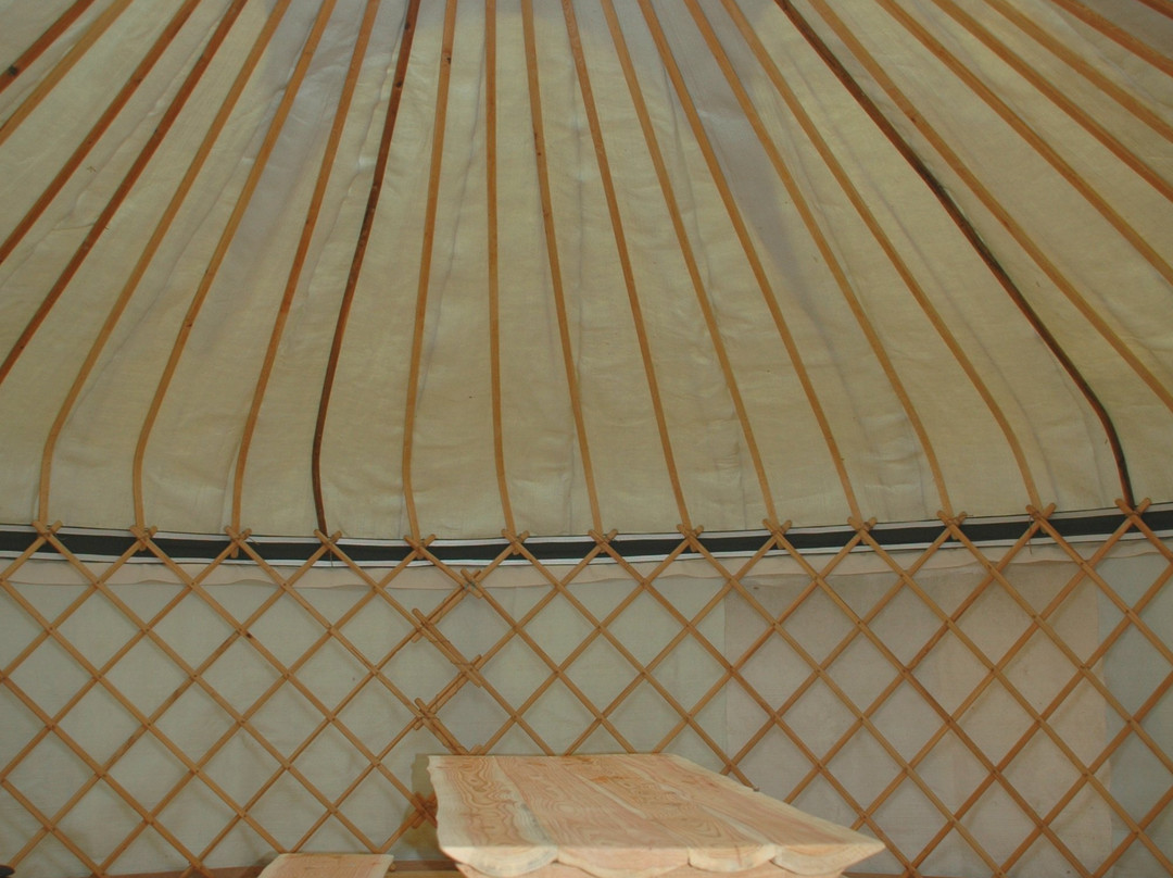 The Sustainability Centre景点图片