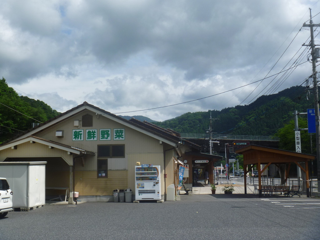 Michi no Eki Okudaisen景点图片