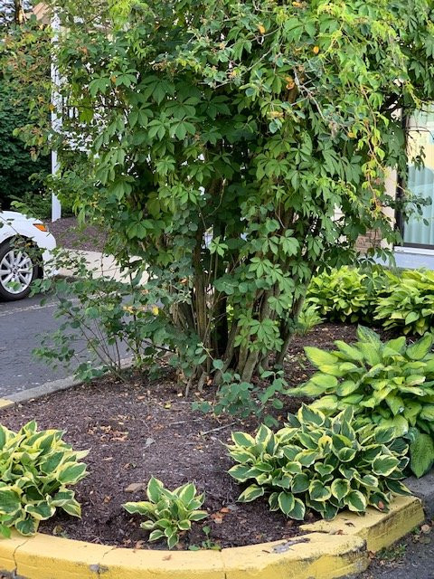 Residence Inn Shelton Fairfield County主图