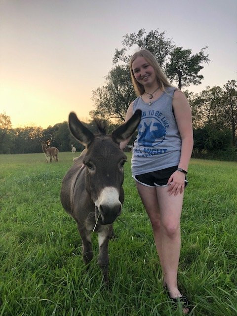 Cleves旅游攻略图片