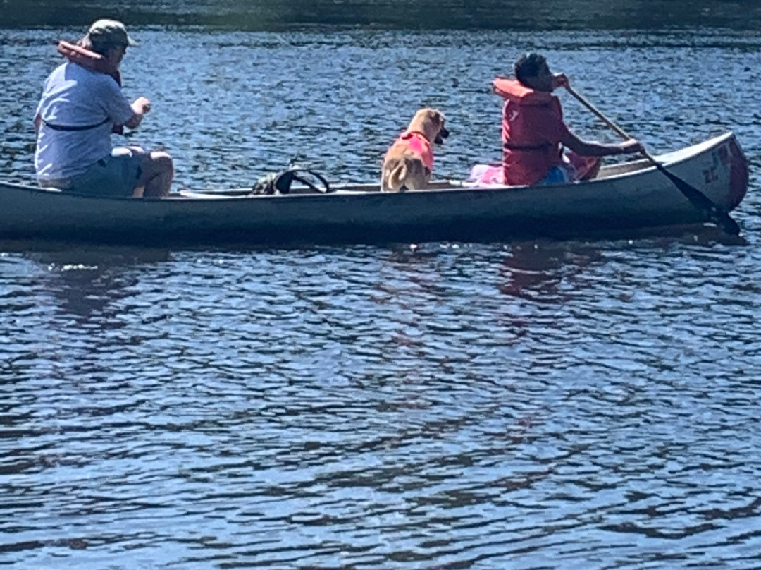 Taylors Falls Canoe and Kayak Rental景点图片