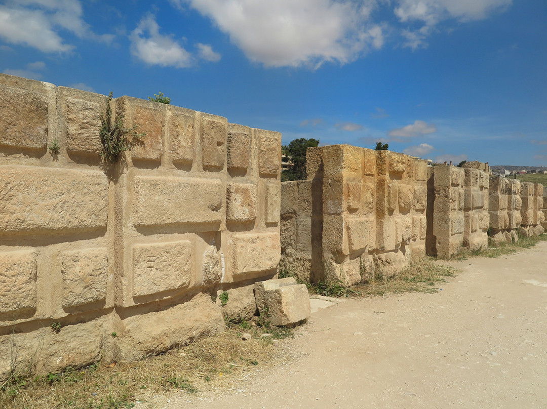 The Roman Army and Chariot Experience景点图片