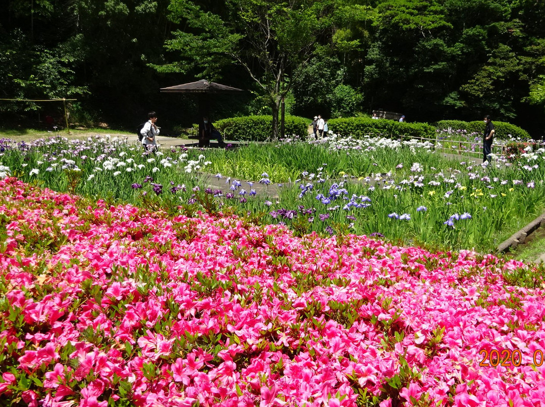 Kameyama Park景点图片