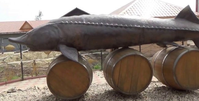 Monument to 960-kg Beluga Caught in the Volga River景点图片