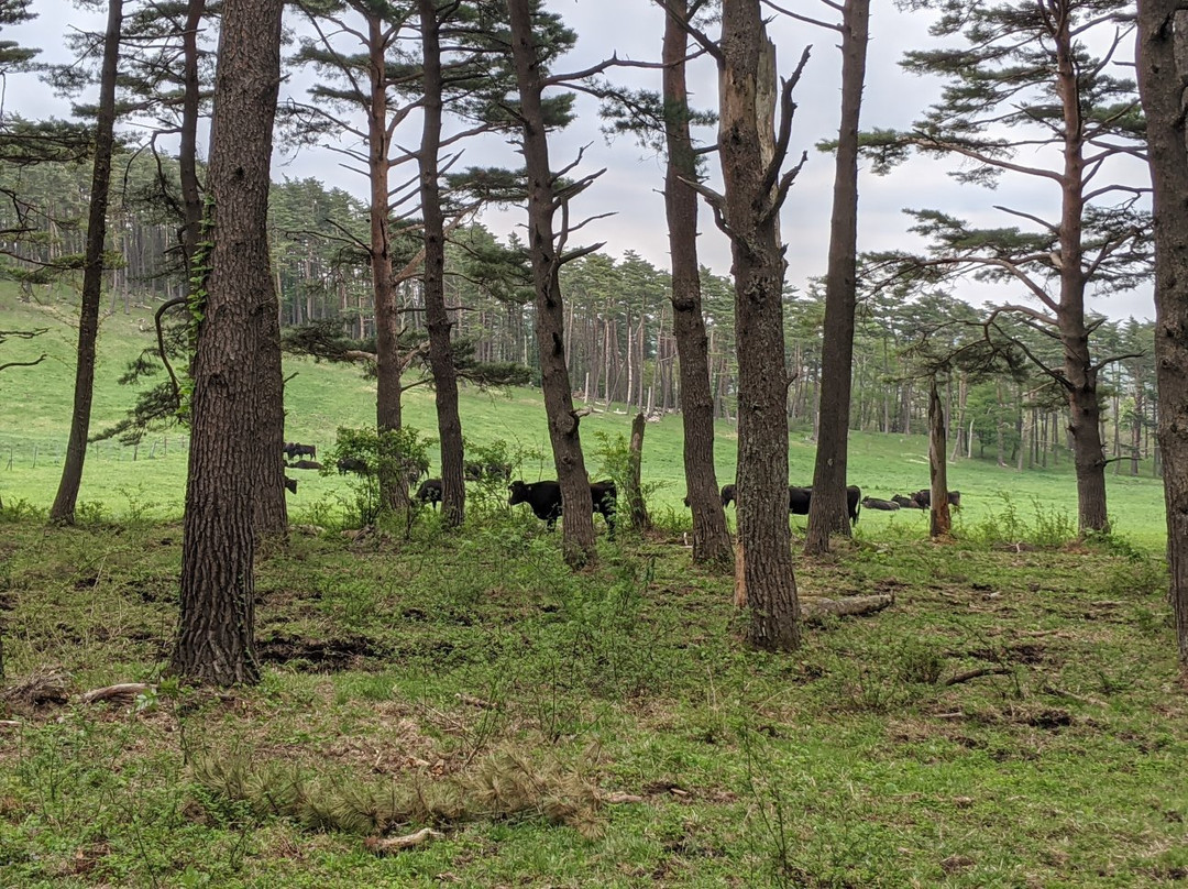 Mt. Kurakake-泷泽村 必去景点