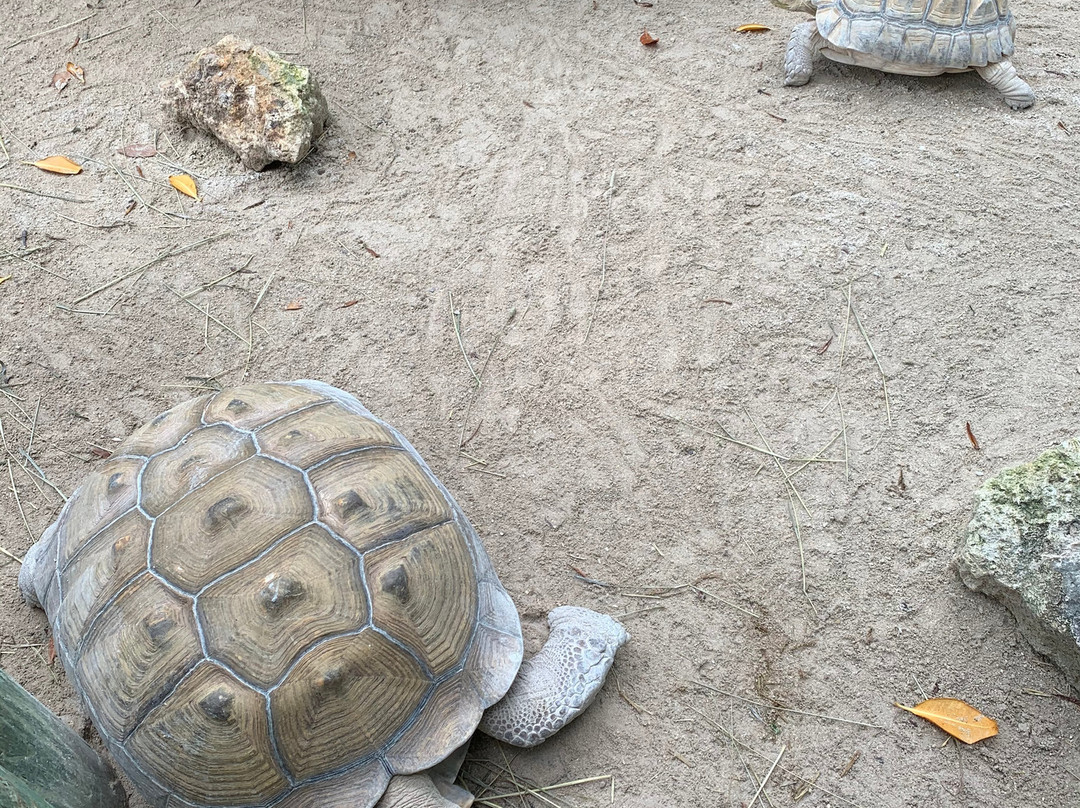 Florida Keys Aquarium Encounters-马拉松必去景点