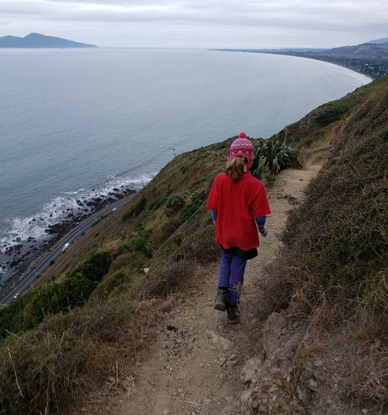 Paekakariki Escarpment Walkway景点图片