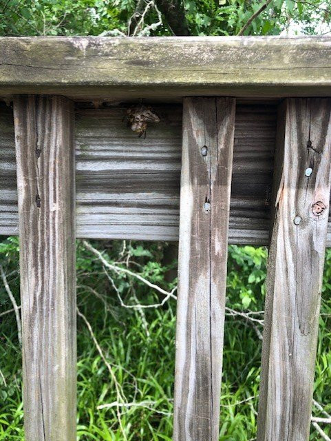 Cullinan Park-舒格兰必去景点