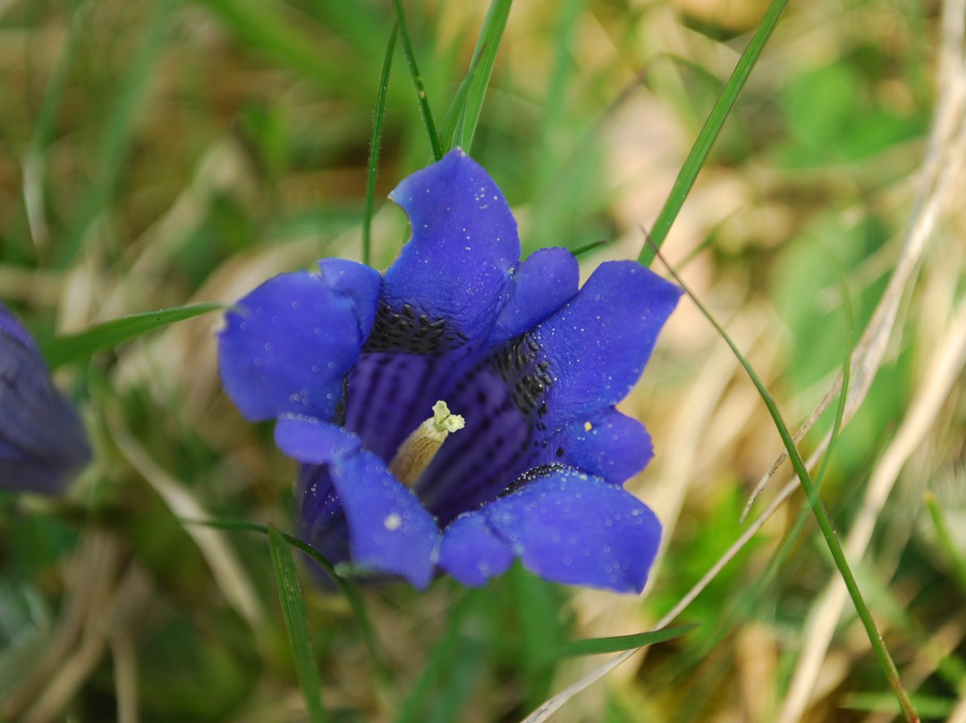 Landhaus Notburga主图