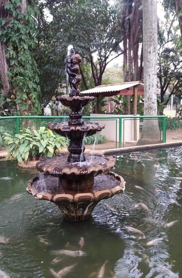 Zoologico Municipal de Sao Jose do Rio Preto-普雷图河畔圣若泽必去景点