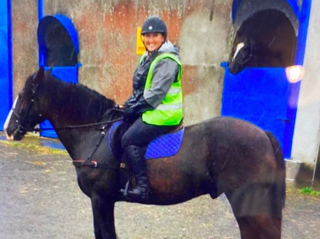 JT Equestrian景点图片