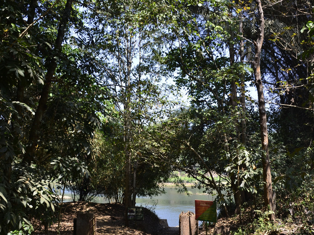 Kodanand Elephant Training Centre-Kodanad必去景点